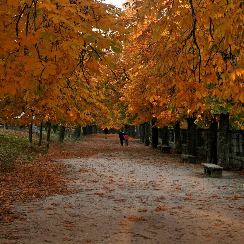 Vila El Acebo Hervás Exteriér fotografie